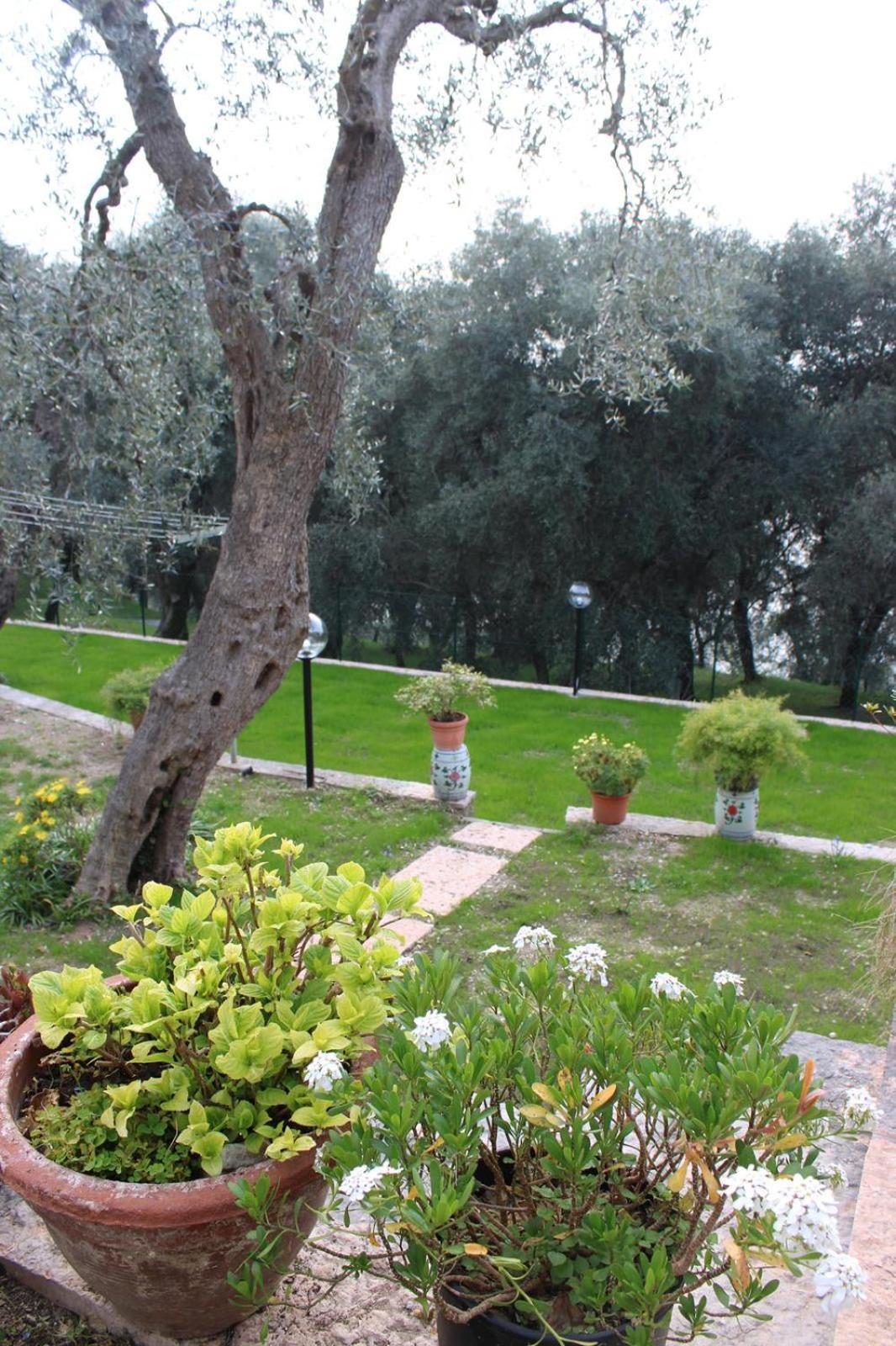 Casa Antony Apartment Torri Del Benaco Luaran gambar